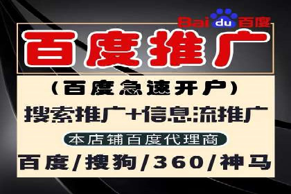 案例分析：SEM竞价代运营实现盈利增长